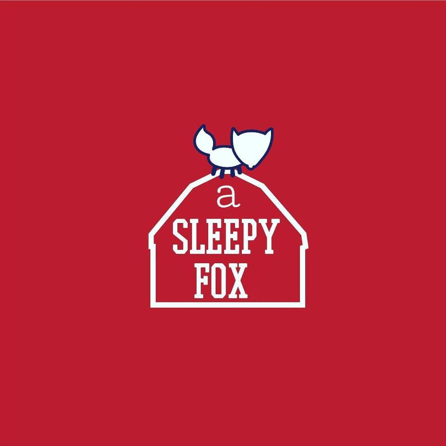 Хостел A Sleepy Fox Нью-Дели Экстерьер фото