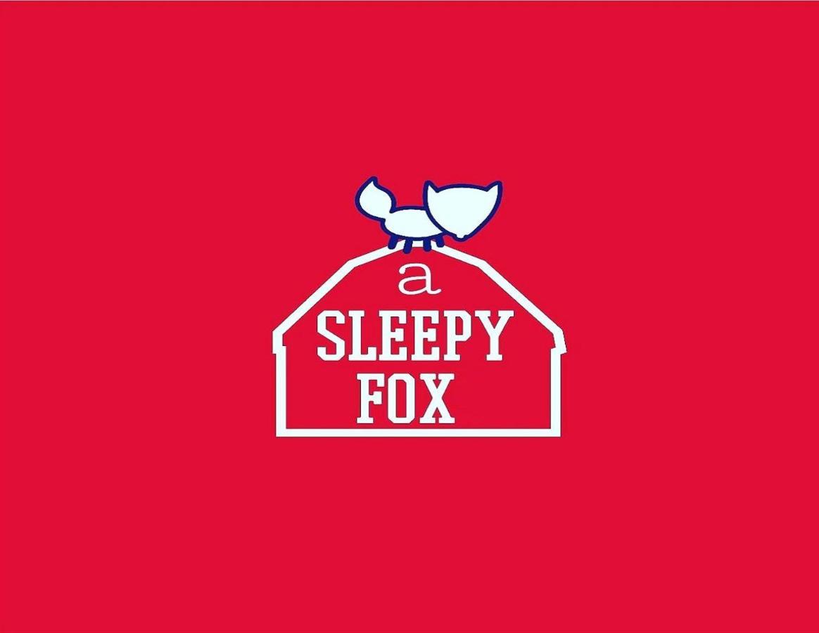 Хостел A Sleepy Fox Нью-Дели Экстерьер фото